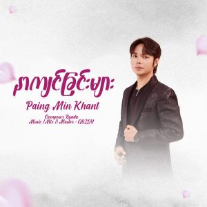 နာကျင်ခြင်းများ