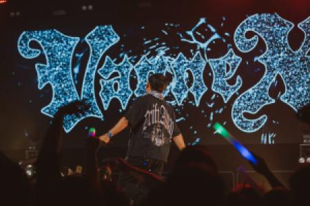 Vannex